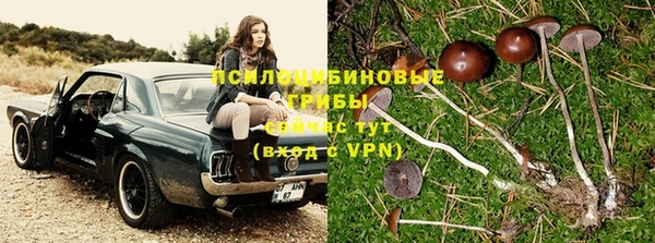 соль курить ск Абаза