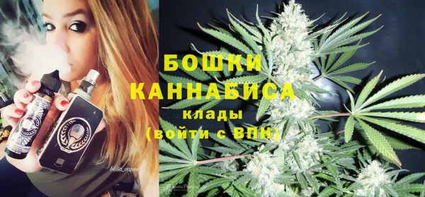 твердый Алзамай