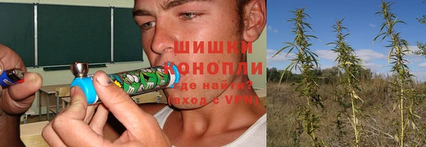твердый Алзамай