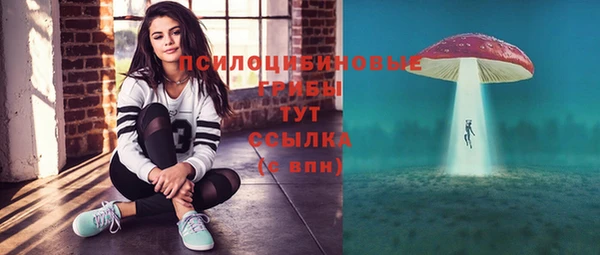 твердый Алзамай