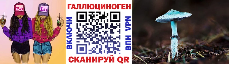 ОМГ ОМГ   Бокситогорск  Псилоцибиновые грибы мицелий 